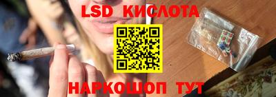 эйфоретик Новокубанск