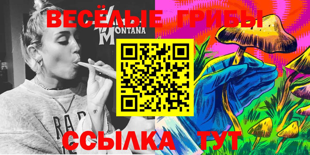 хочу   Галлюциногенные грибы Magic Shrooms  Вход с VPN  Солнечногорск 