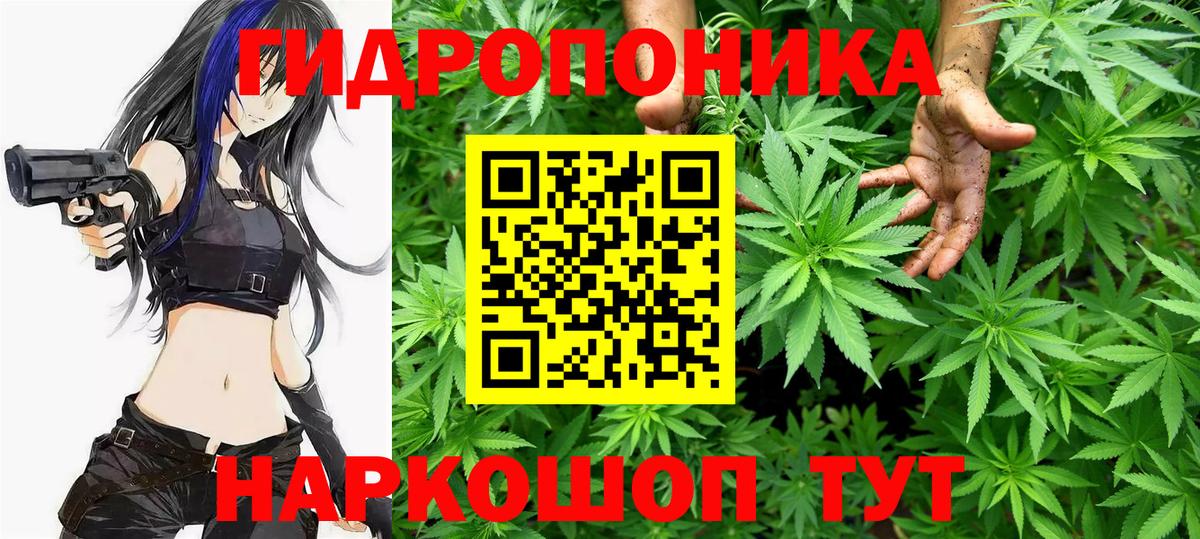 Канабис конопля  Канабис Bruce Banner  Бошки марихуана OG Kush  Вход с VPN  Солнечногорск 
